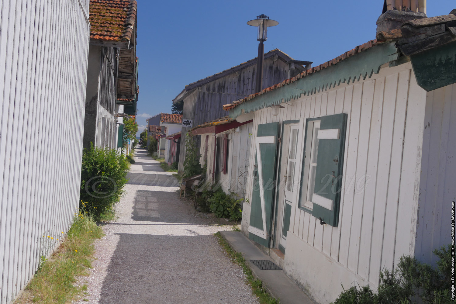 Cap Ferret - 2019