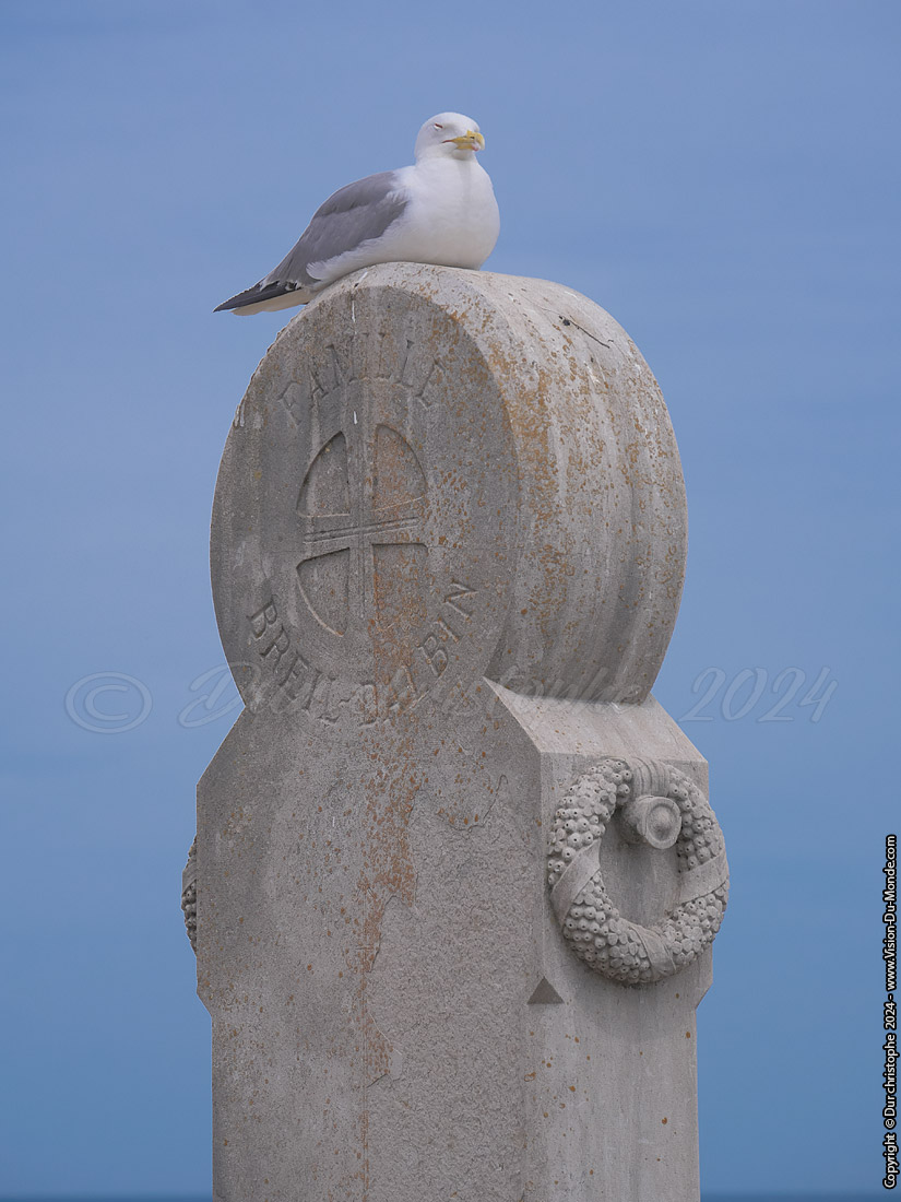 Sète - 2024