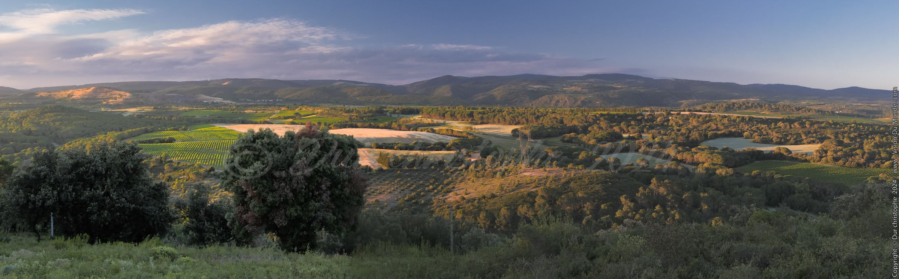 Vallée verdoyante