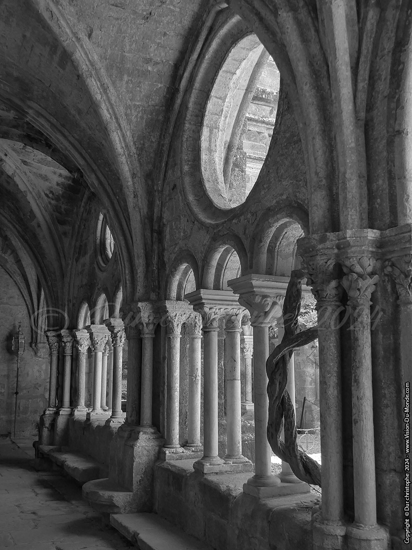 Abbaye de Fontfroide - 2024