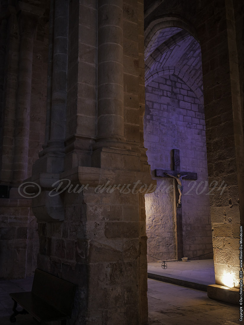 Abbaye de Fontfroide - 2024