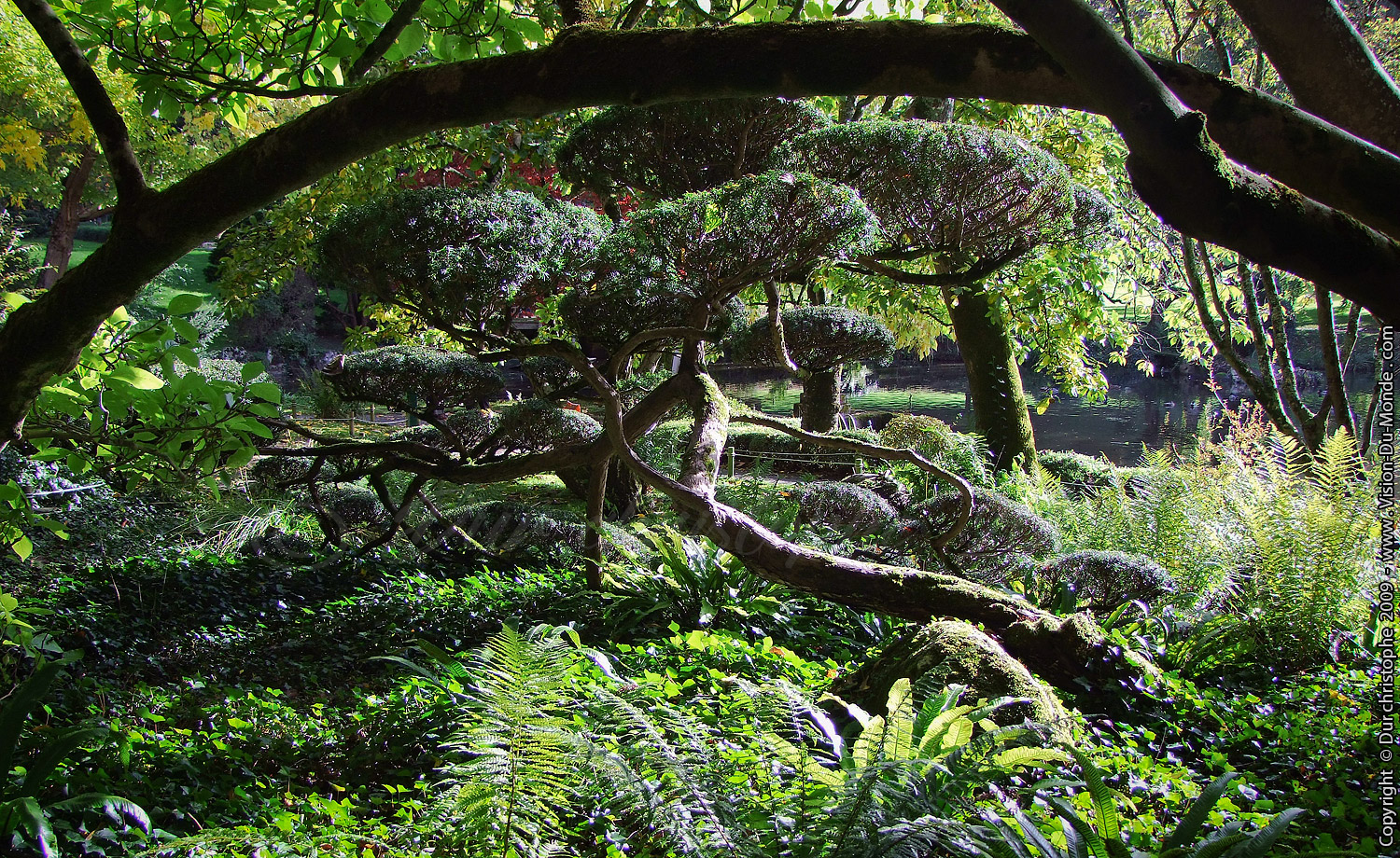 Parc Oriental Japonais de Maulévrier - 2009