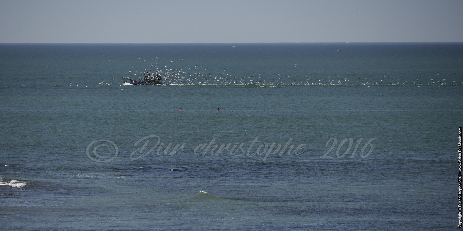 Le chalutier - Saint gilles croix de vie - Vendée