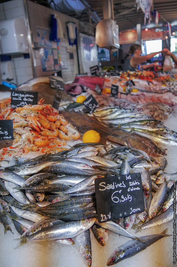 Île de Ré - 2018