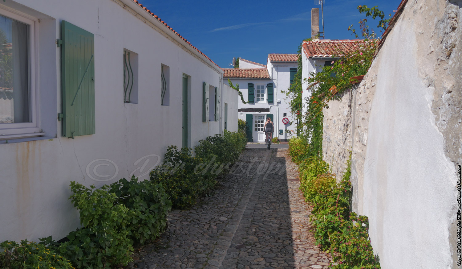 Île de Ré - 2018