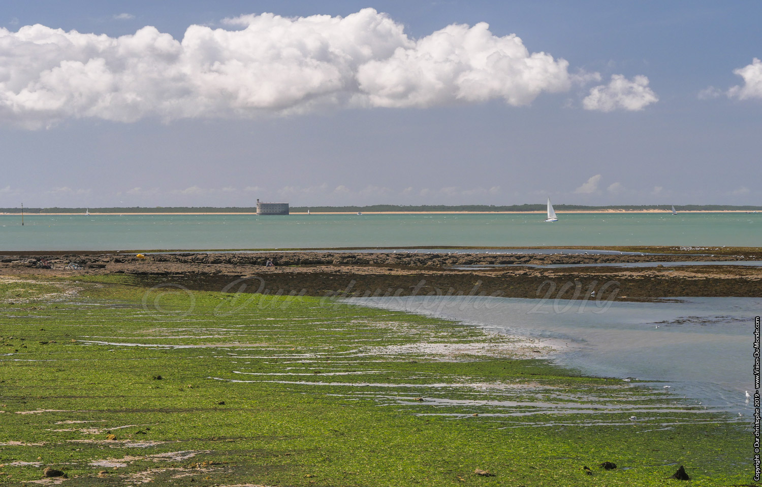 Île d'Aix - 2018