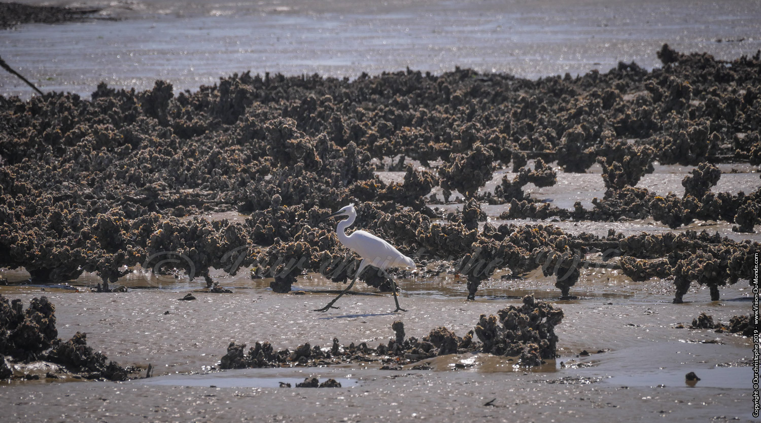 Île d'Aix - 2018