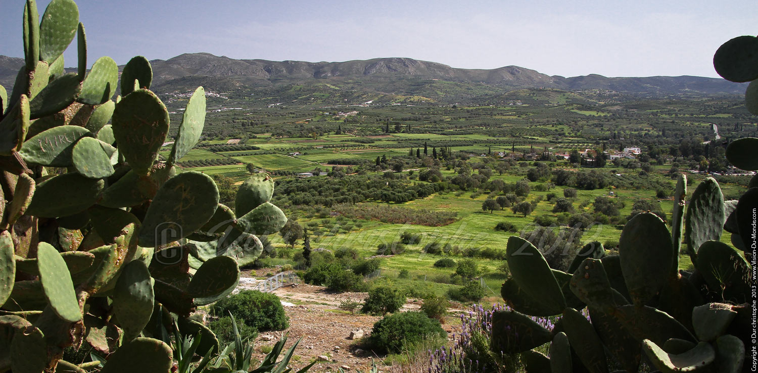 Cactus - Sur la route - 2013