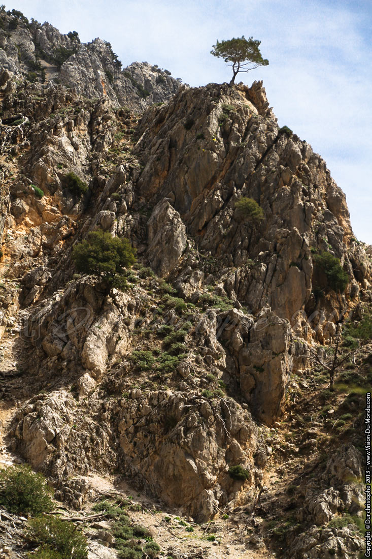 Gorges de Rouvas - 2013