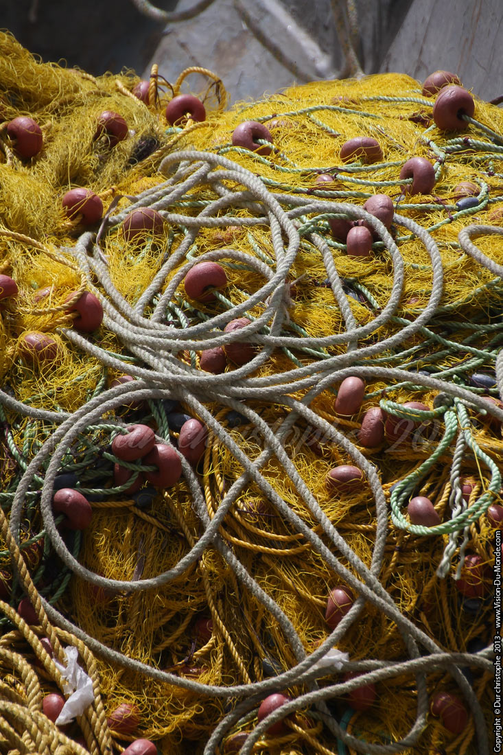 Filet de pêche - 2013