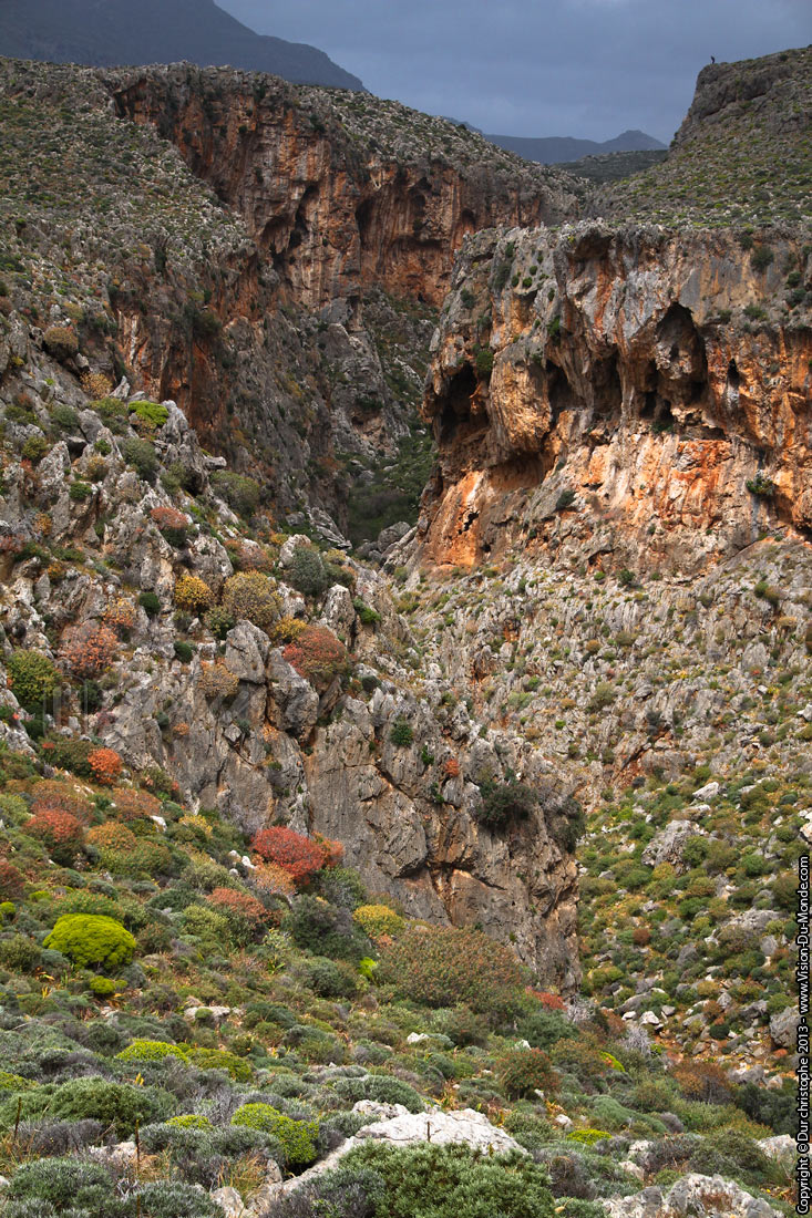 Gorge - Zakros - 2013