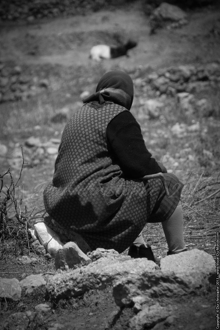 La gardienne de chèvres - Kato Zakros - 2013