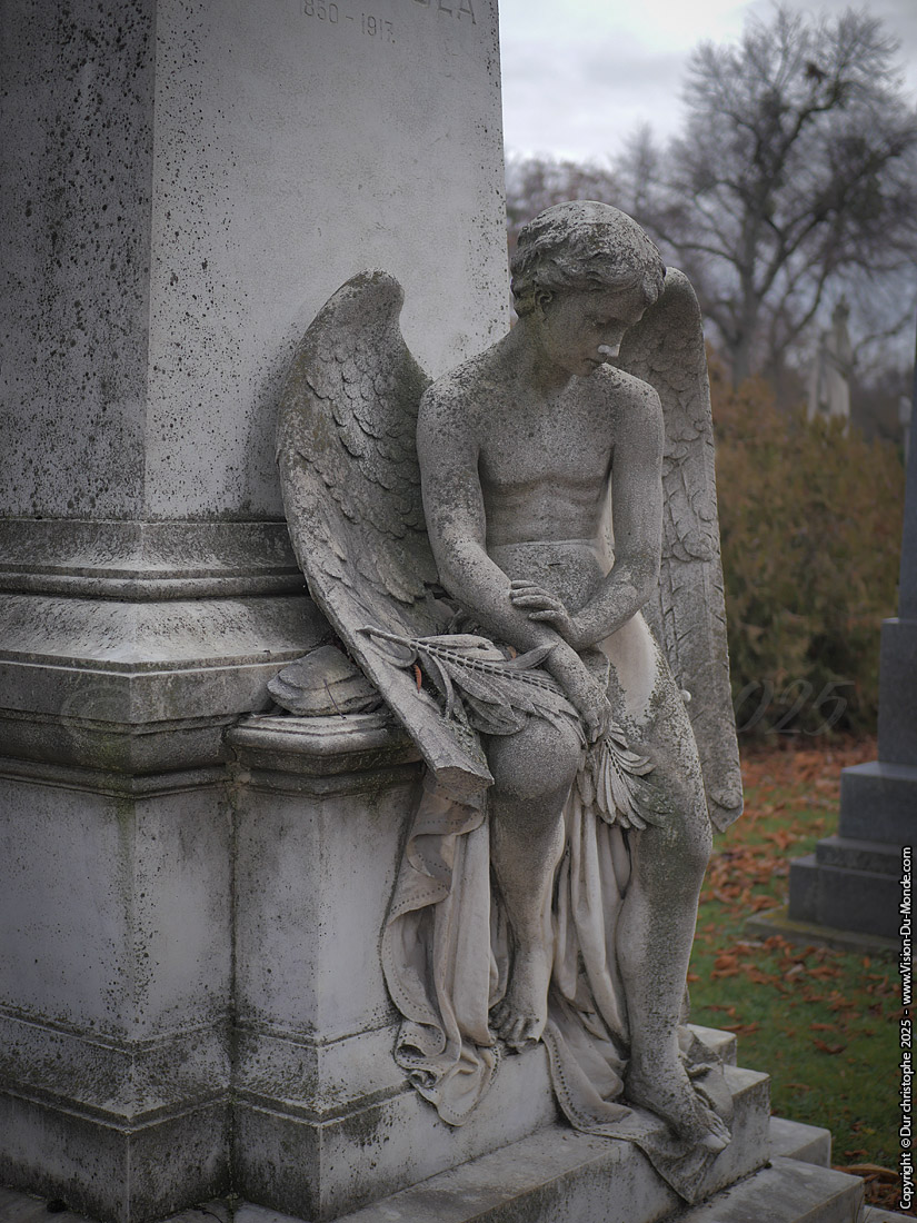 Cimetière national de Fiumei út - Budapest - 2025