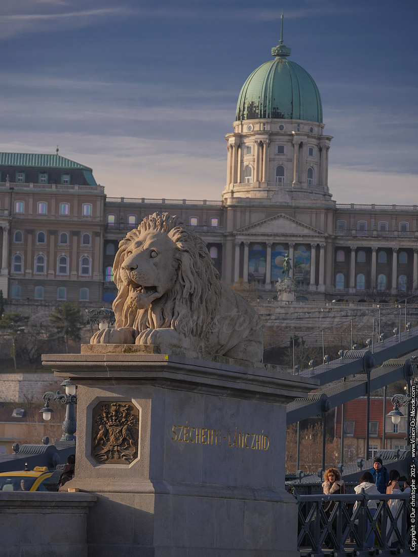 Lion du Chain Bridge - Budapest - 2025