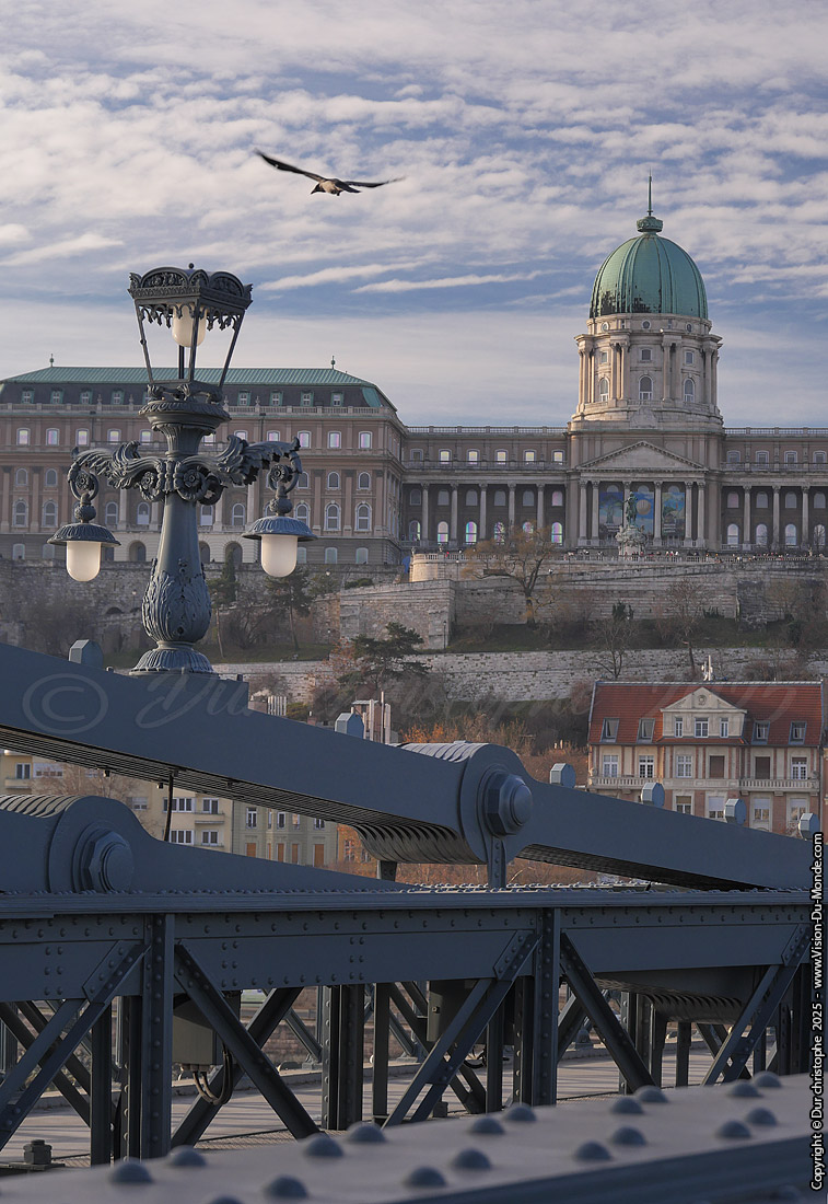 Chain Bridge - Budapest - 2025