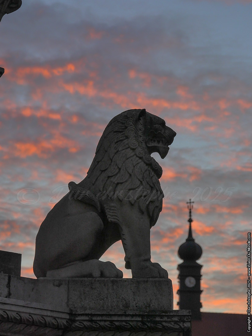 Le lion - Budapest - 2025