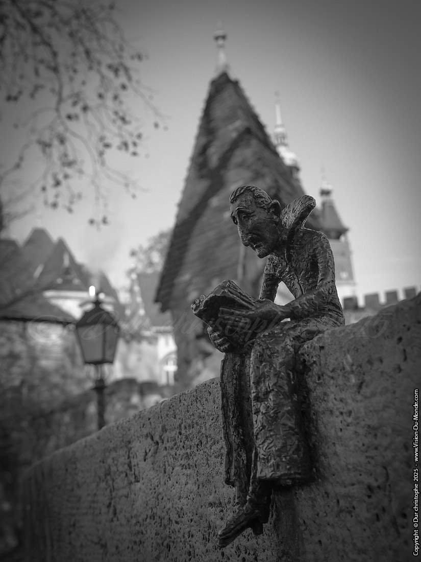 Dracula is reading - Budapest - 2025