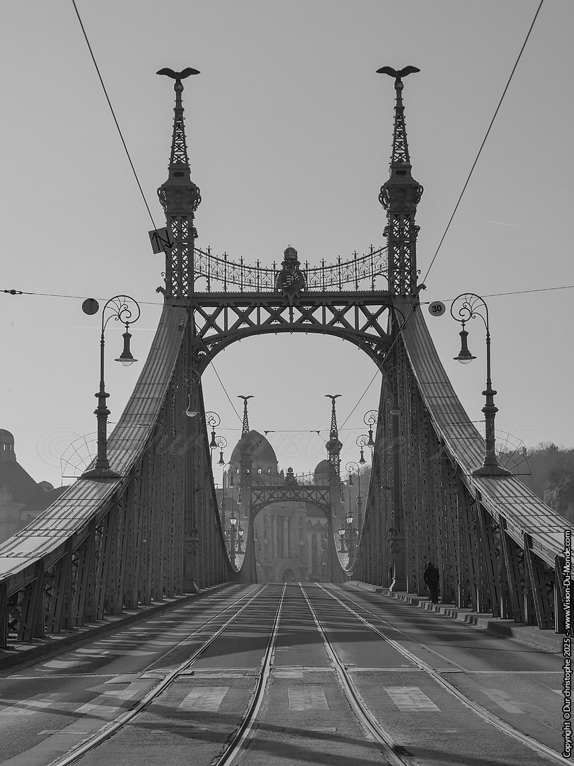 Pont de la liberté - Budapest - 2025