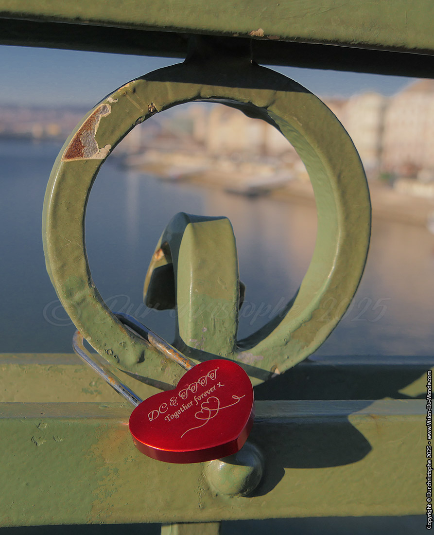 Together forever ... - Budapest - 2025