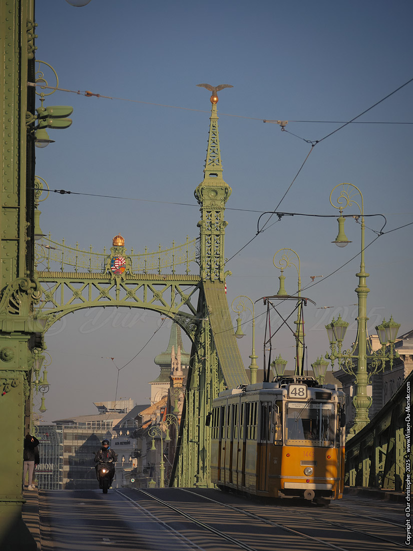 Pont de la liberté - Budapest - 2025