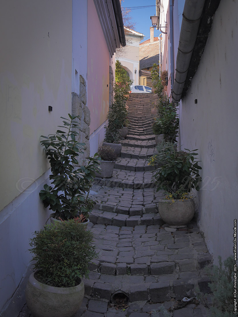 L'étroite ruelle - Szentendre - 2025