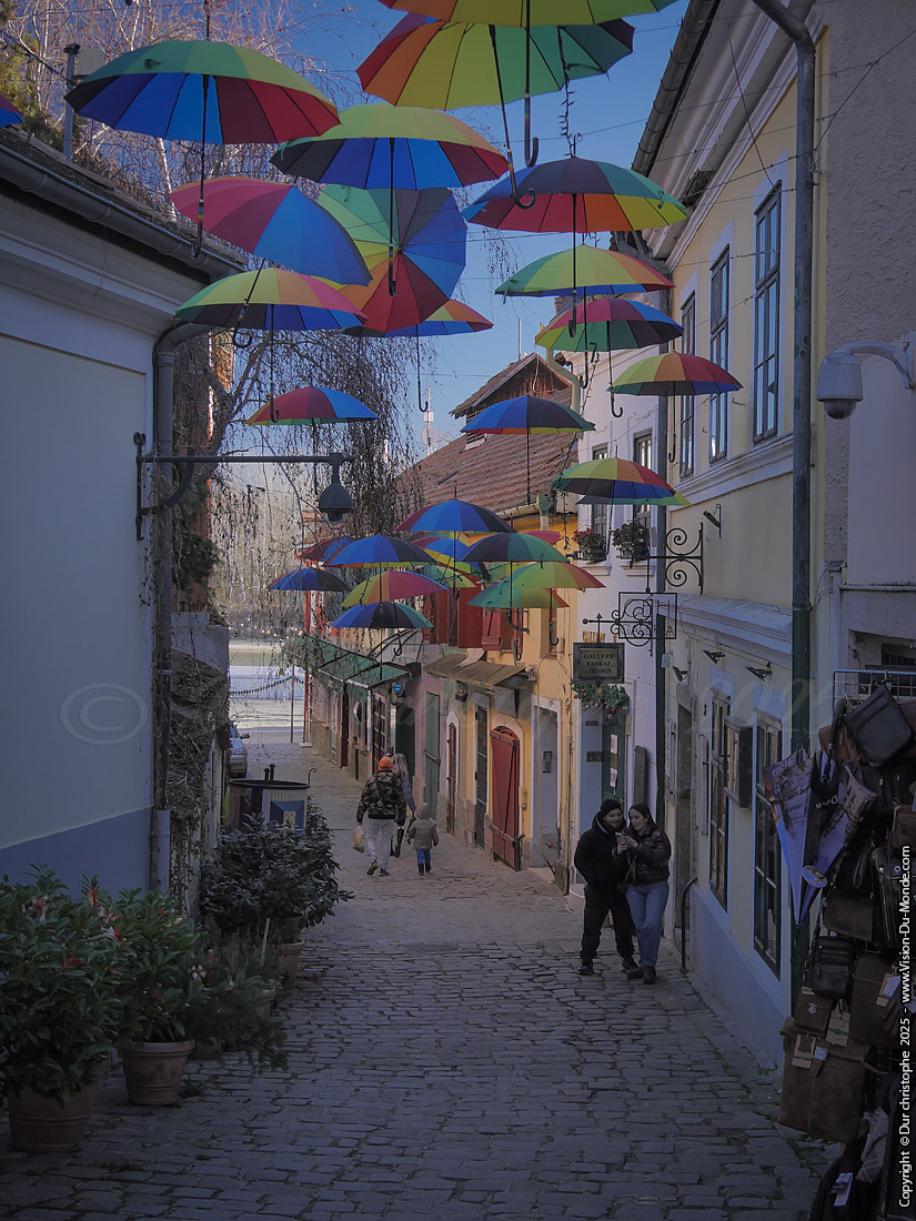 La rue des parapluies - Szentendre - 2025