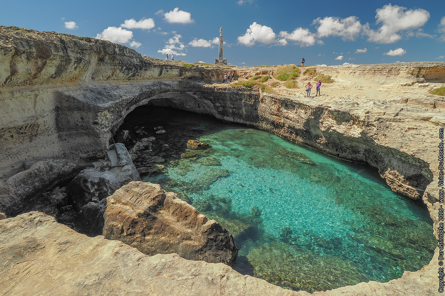 Piscine naturelle - 2026