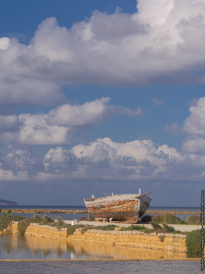 Salines