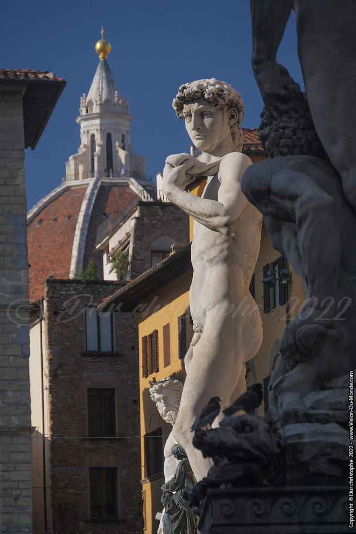 P1490291