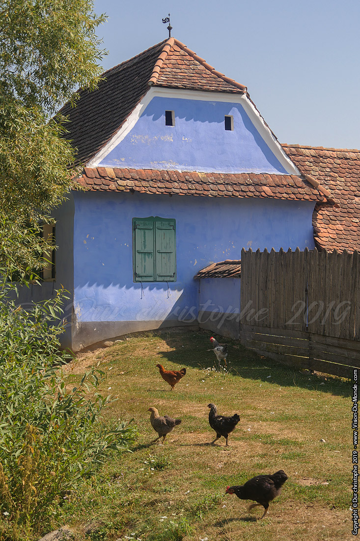 Viscri