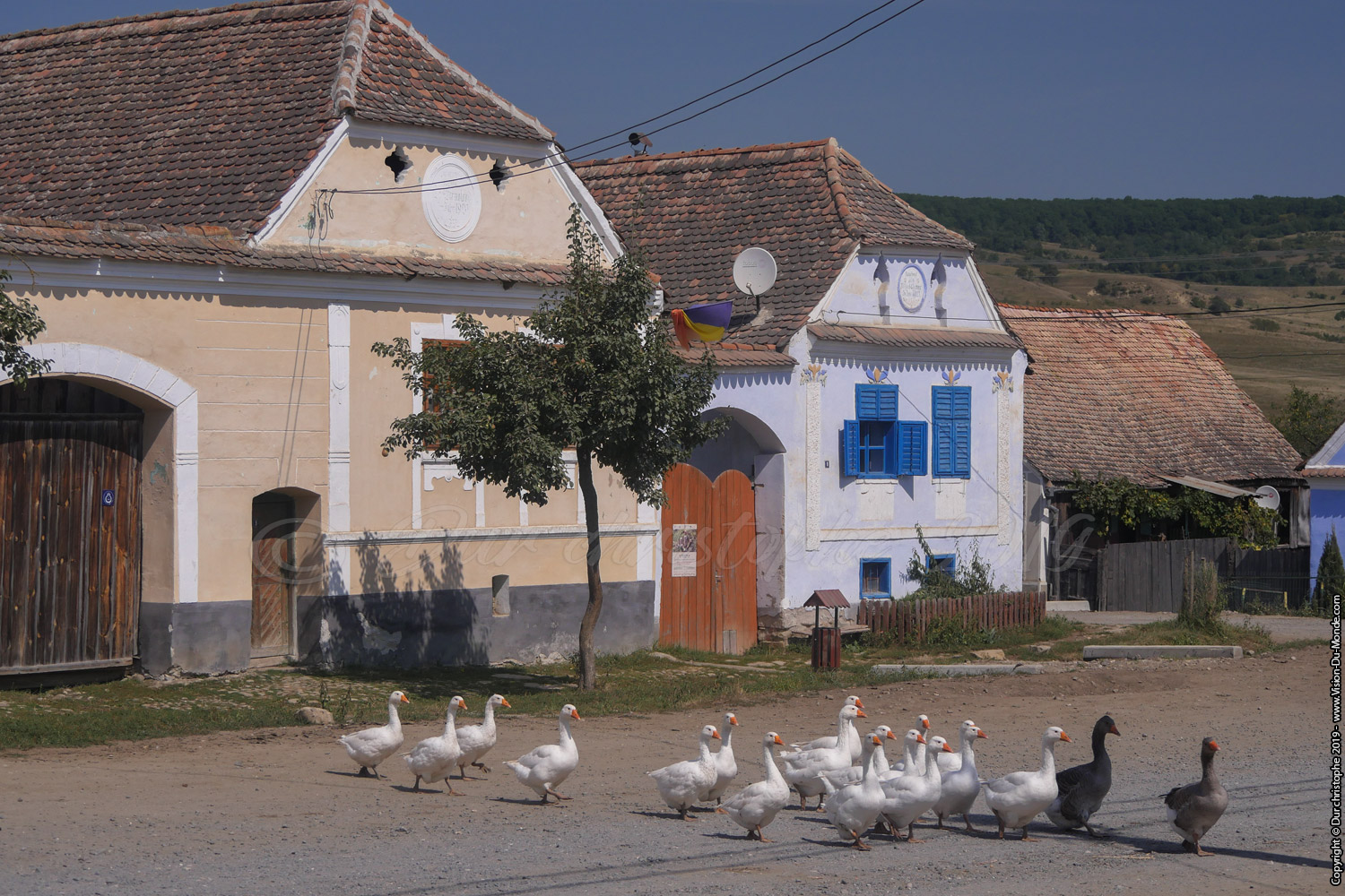 Viscri