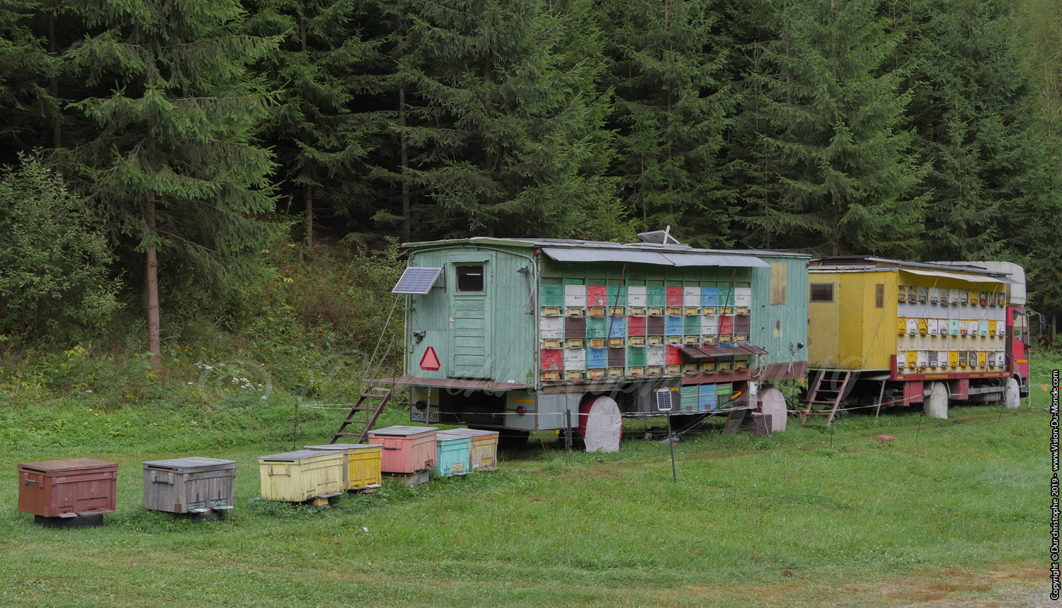 Camion ruche