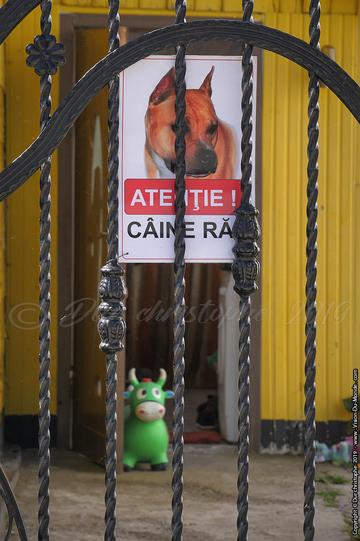 Chien méchant ?
