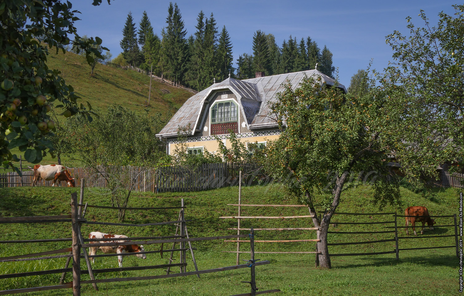 Maison traditionnelle Roumaine