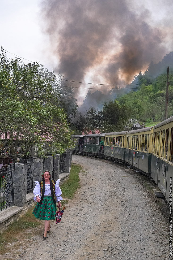 Le train à vapeur - Viseu de sus