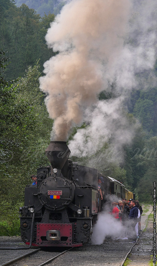 Le train à vapeur - Viseu de sus