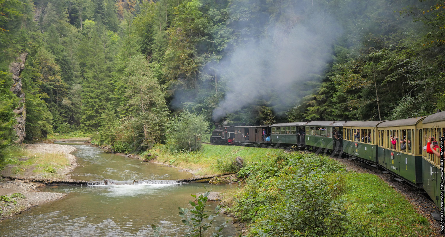 Le train à vapeur - Viseu de sus