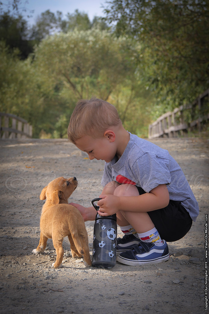 L'enfant et le chien