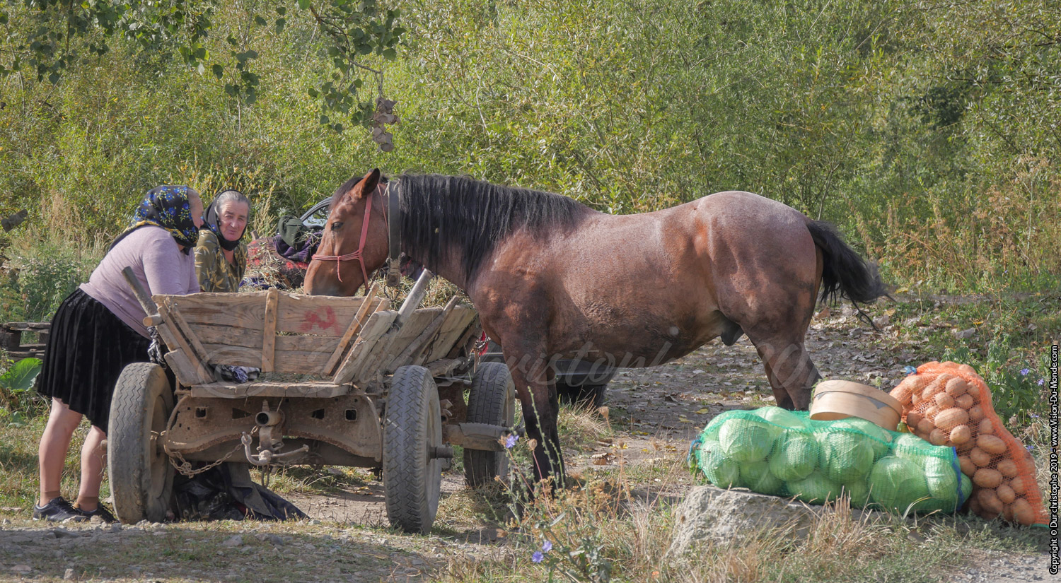 Partage - Marché de Bogdan voda
