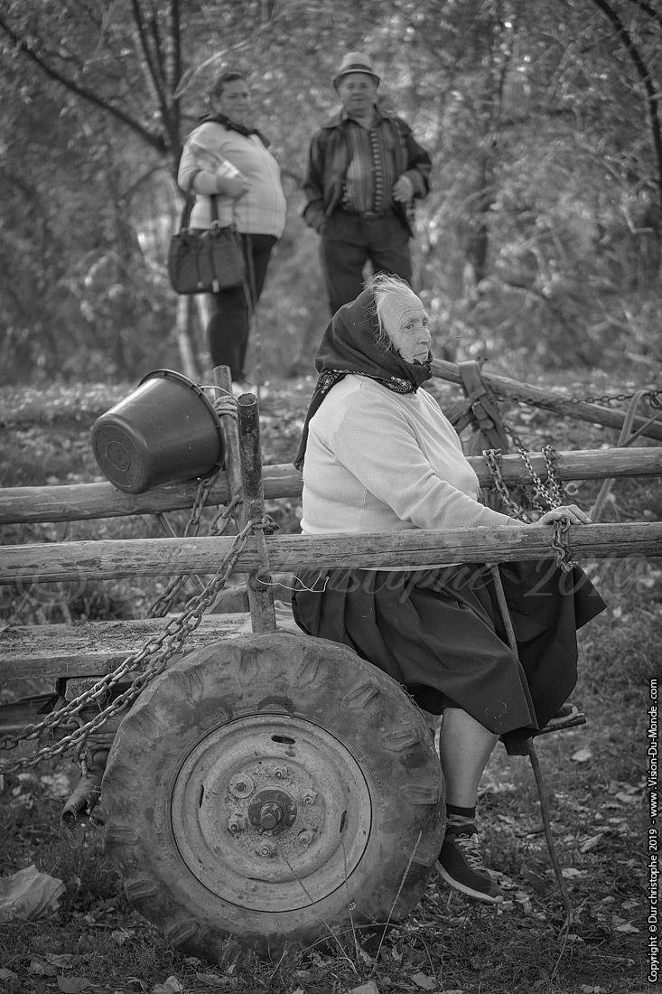 Marché de Bogdan voda