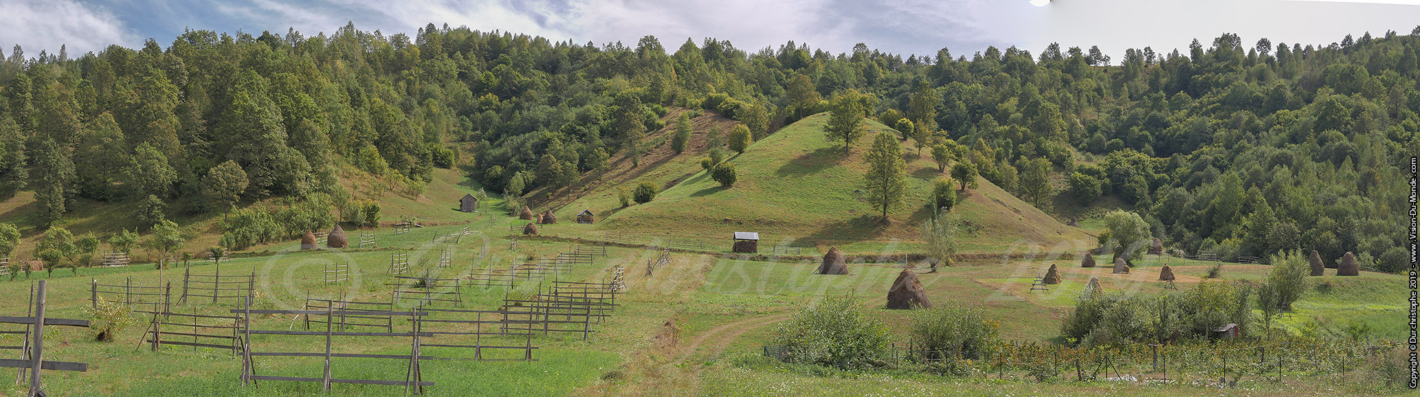 La colline