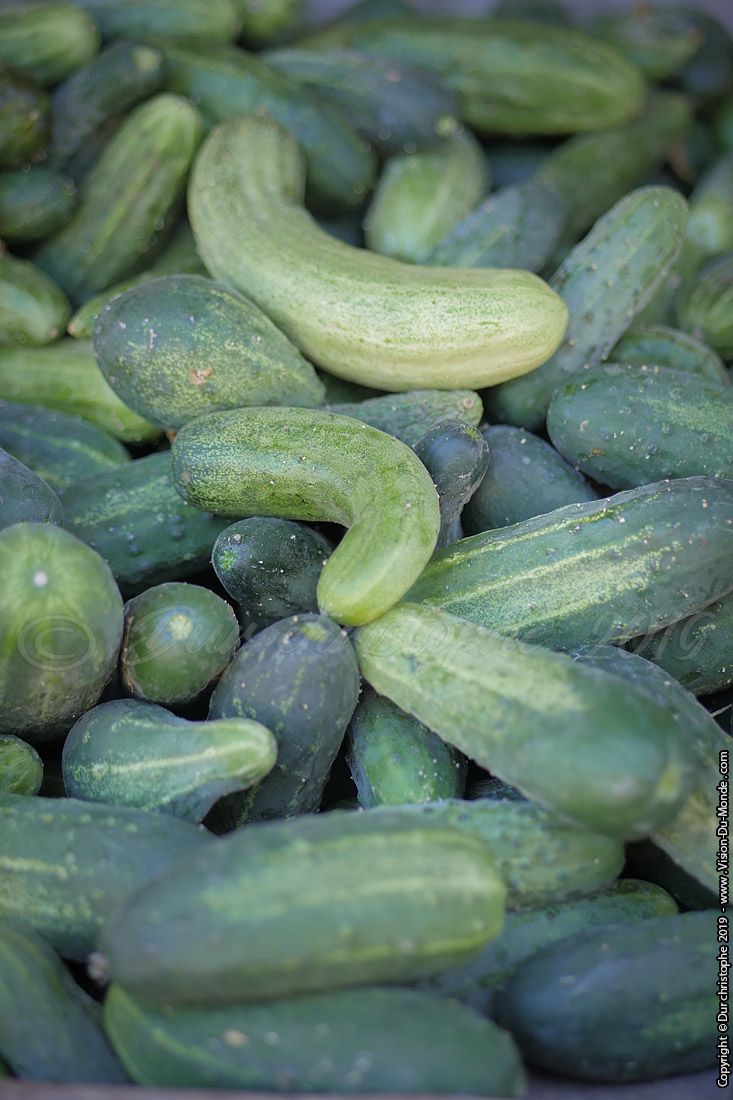 Cornichons