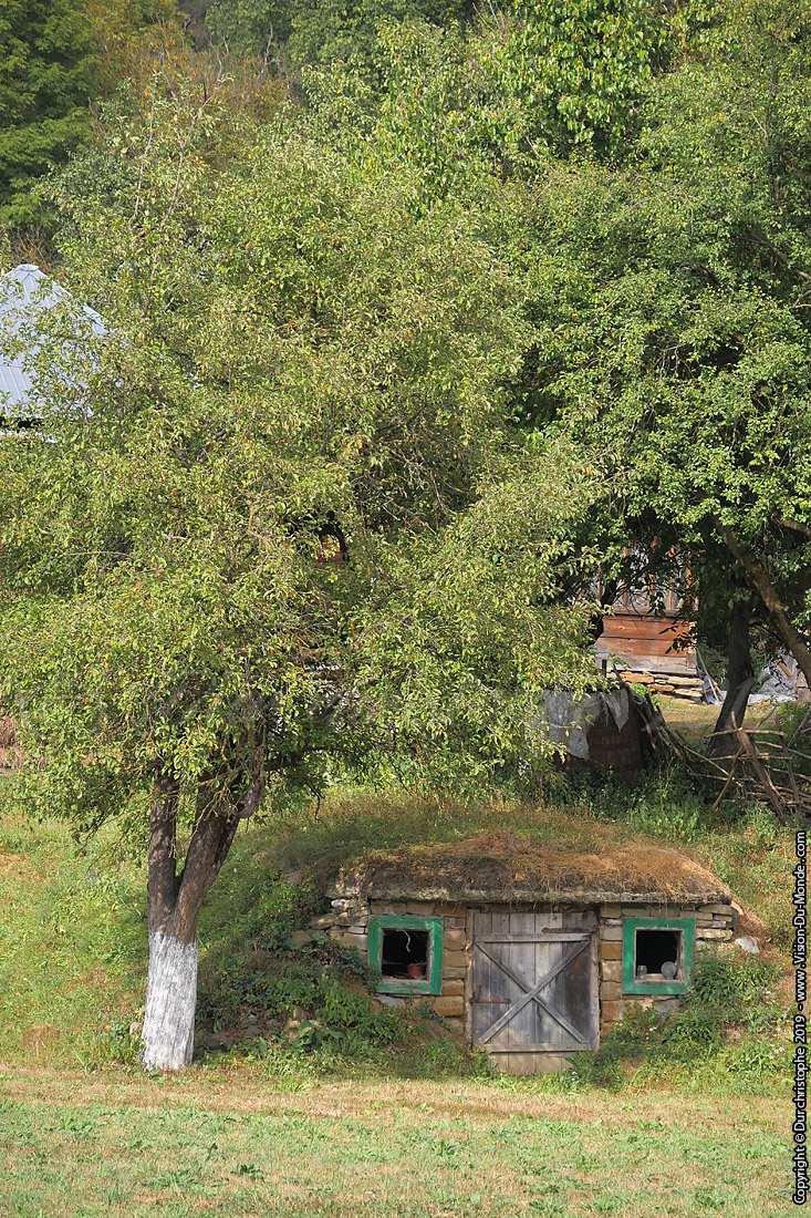 La cabane de hobbits