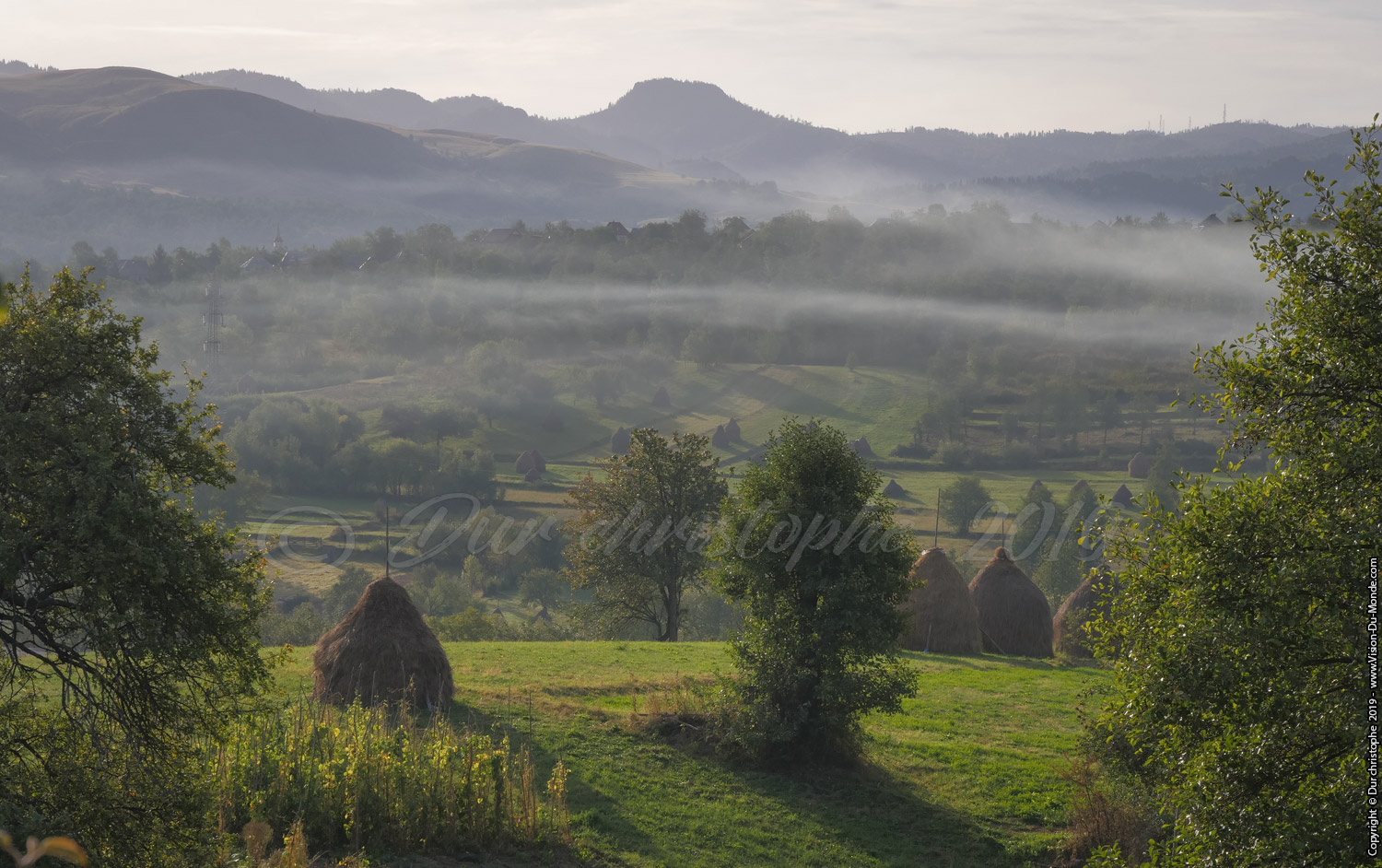 la plaine dans la brume