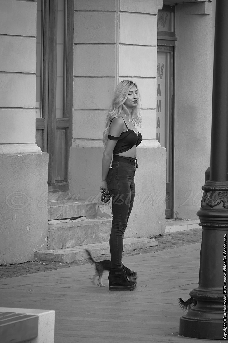 La miss  - Sibiu
