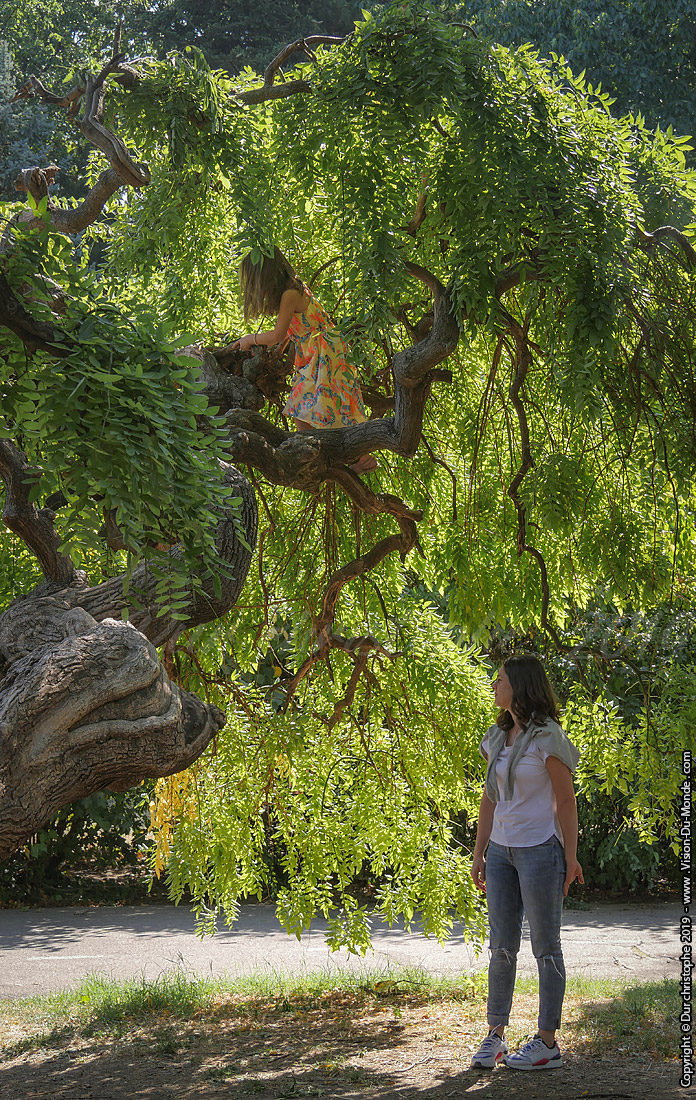 parc Herastrau - Bucarest