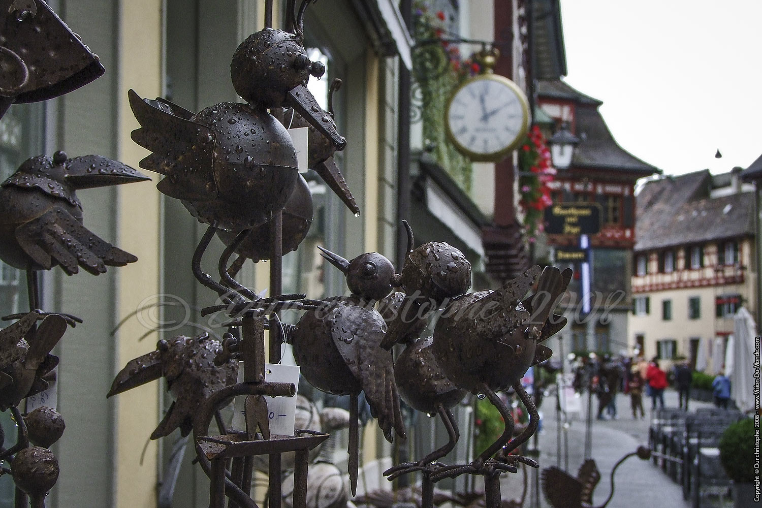 DSCF1633
