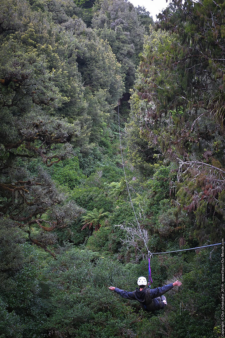 Canopy tour  - Rotorua - 2014