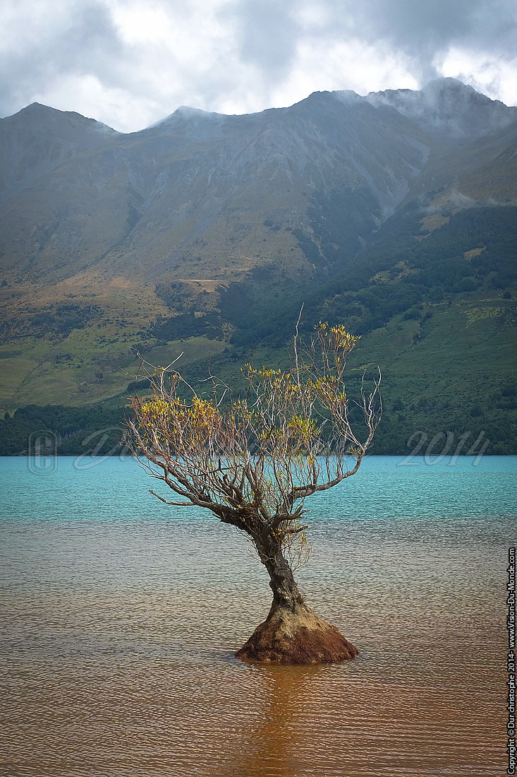 Glenorchy - 2014