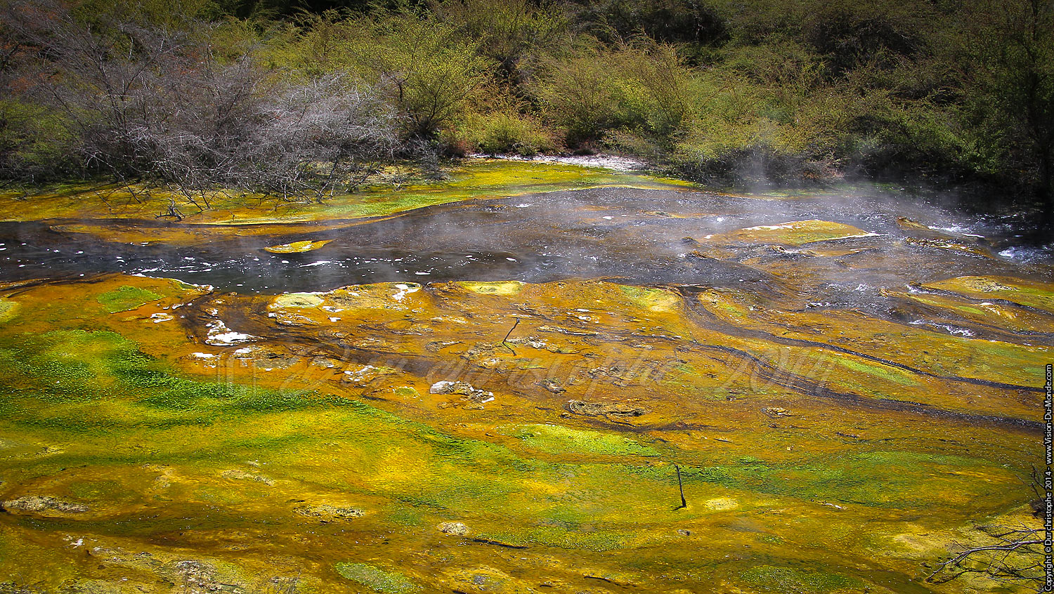 Waimangu Volcanic Valley - Rotorua - 2014